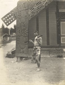 水平护罩（护罩）1905（银色明胶印花） 作者 托马斯·普林格